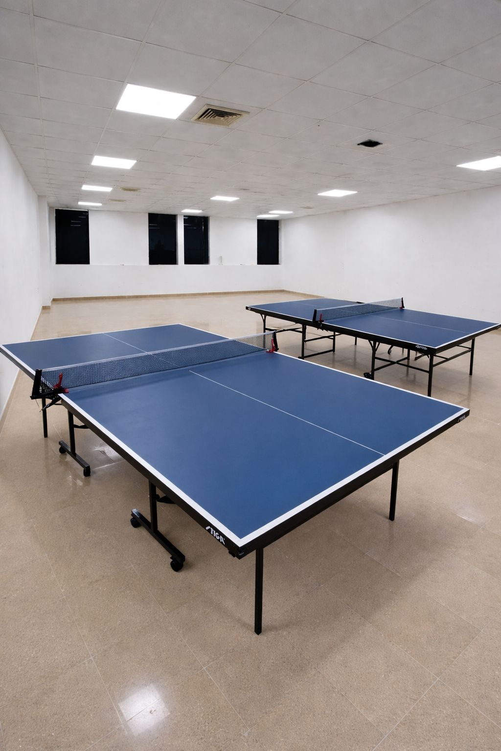 Mesa de Ping pong